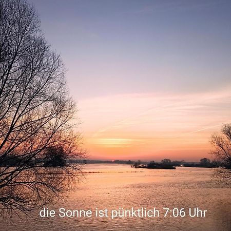 Zur Nachtigall Damnatz Exteriör bild